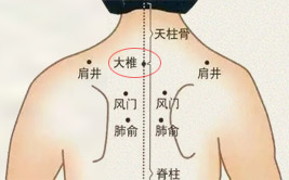 大椎穴