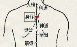 身柱穴