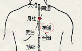 神道穴