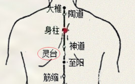 灵台穴