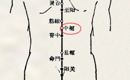 中枢穴