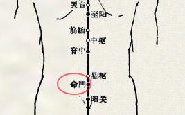 命门穴