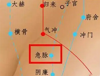 急脉穴