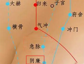 阴廉穴