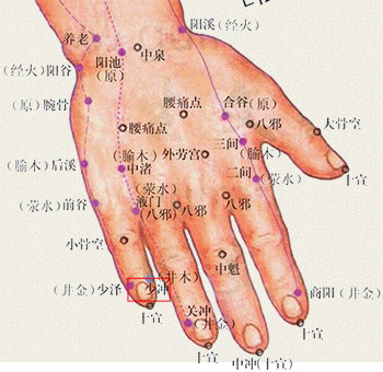 少冲穴