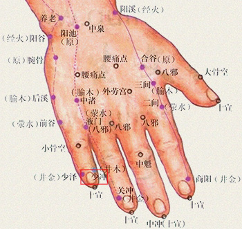 少冲穴(图1)