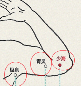 极泉穴