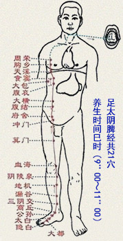 阴陵泉穴