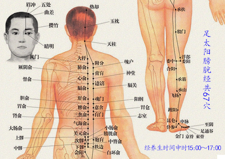 至阴穴