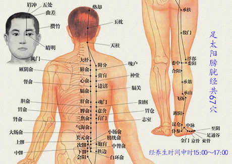 心俞穴