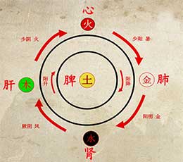 中医五脏用歌诀药诀