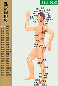 十二经络动态经穴