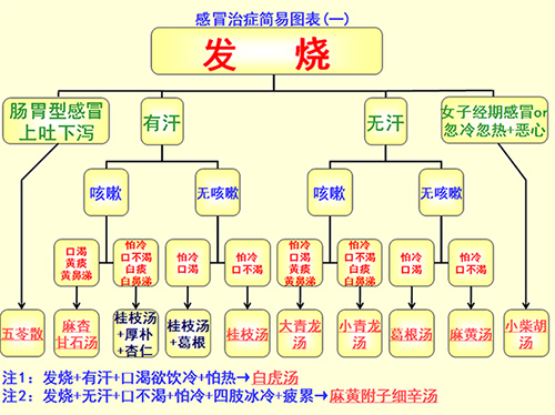 倪海厦治感冒图表和感冒经方常见问题与说明