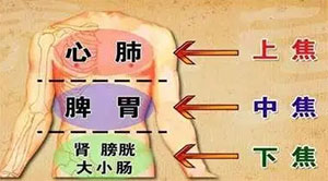 补五脏六腑常用中药大全