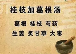 经方要点：桂枝加葛根汤（桂枝葛根汤）医案