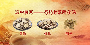 倪海厦厦芍药甘草附子汤治静脉曲张和肌肉跳动