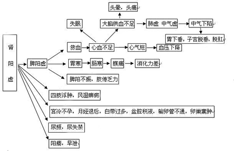 肾阳虚和肾阴虚症状区别