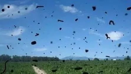 玻璃体浑浊《飞蚊症》小偏方和中成药、按摩方法