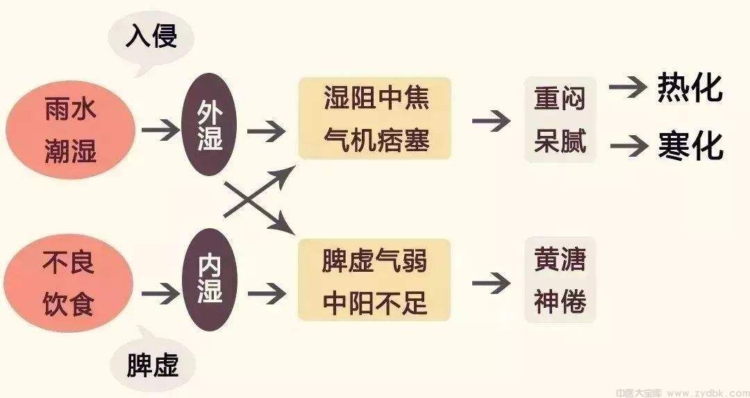 九味羌活汤：治关节不肿身上不痛如空调病、风湿关节炎、腰肌劳损