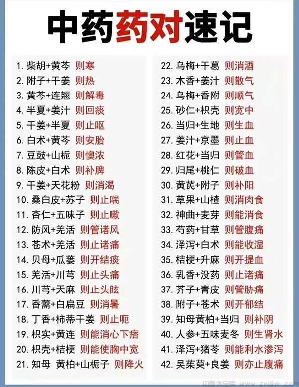 105个常见中药药对速记表