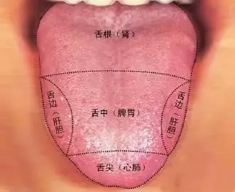  中医望舌七绝歌和望诊七绝歌