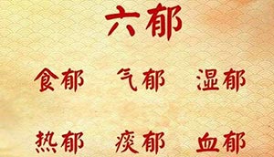 《丹溪心法》六郁汤和越鞠丸:气郁、血郁、湿郁、热郁、食郁、痰郁
