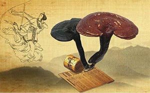 中医辩证​口干口苦口干舌燥(口干症)