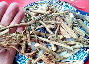 扁豆根