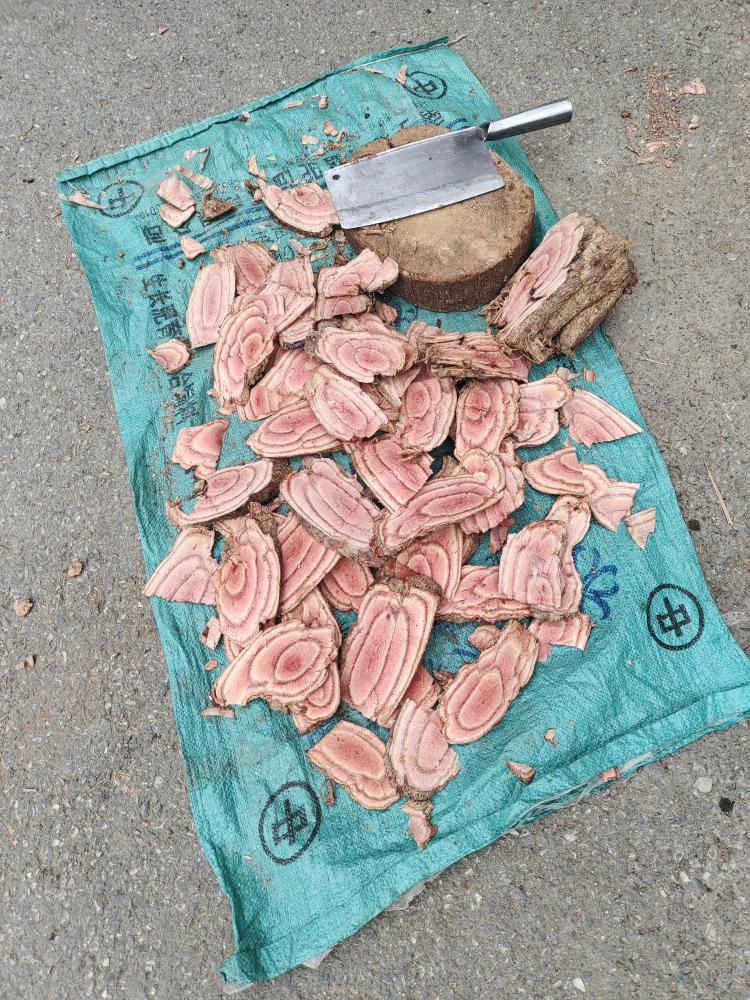 马氏膏方治疗颈腰椎骨质增生和椎间盘突出136例