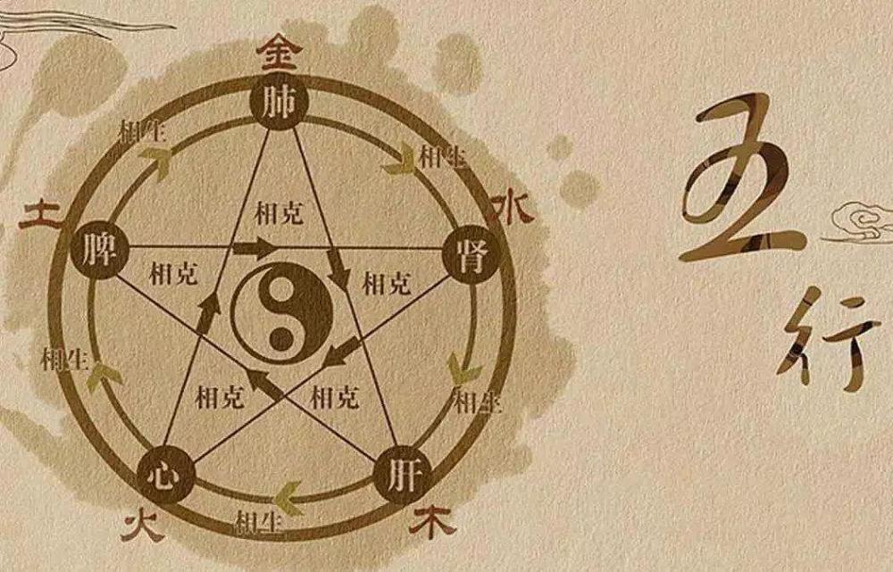 中医辨痰知识和五行辨痰法(图2)