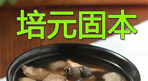 道家培元固本药方